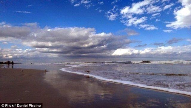 KPEKBALIINI KM ISIRDI?    ABD'nin Florida Eyaleti'nde sahile vuran yars srlm kpekbal grenleri akna evirdi.    New Smyrna Beach'te plaj gvenlii szcs Tammy Morris'e gre 4 metre uzunluundaki kpekbal, haftalar ncesinde grlen daha byk bir beyaz kpekbal tr tarafndan saldrya uram.