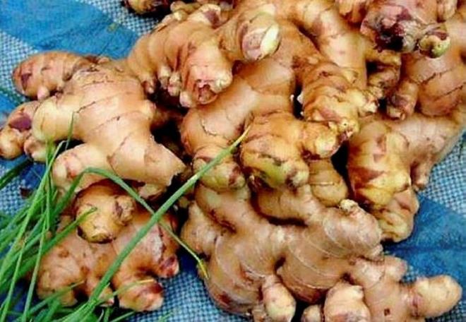 ZENCEFL AIRI MUKUSU AZALTIR  <br>  Son olarak, kesinlikle zencefil, vcuttaki ar mukustan &#8211; zellikle de solunum yolundan &#8211; kurtulmaya yardmc olur. Her gn zencefil tketen bir ay sonra, baz mthi faydalar greceinizden emin olacaksnz.