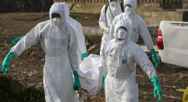 Global salgn hastalk (Oran: 1'e 2)