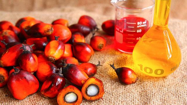 PALM YAINA DKKAT!     Kongrenin Bilimsel Program Sekreteri Prof. Dr. Gkhan zyiit de eker ve kanser ilikisine ynelik, unlar kaydetti: "Ben 'eker, kanseri beslemez' demeyeceim.