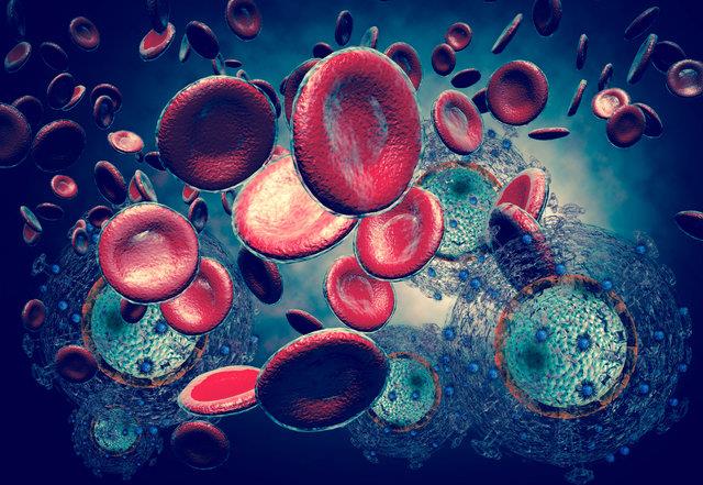 Bilim insanlar, kanser geliiminin nlenmesi ve hastaln tedavi baars iin eker ihtiyacnn pekmez, hurma ve incir gibi ilenmemi gdalardan arya kamadan karlanmas, fruktoz ieren rnlerden ve palm yandan uzak durulmas, etin gnlk alnmas gerekenin stnde yenilmemesi ile zellikle salam, sosis ve sucuk gibi ileni etin sk tketilmemesi gerektii uyarsnda bulundu.