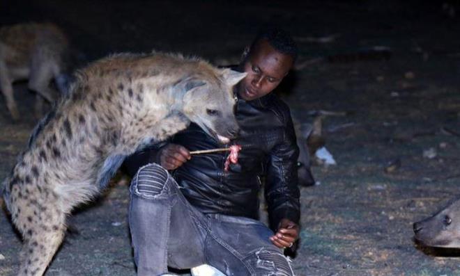 Srtlanlarla dostluk kuran 23 yandaki Ahmet Yusuf, geimini de bu dostluktan salyor. Gn battktan sonra Harar&#8217; kuatan surlarn ardndaki bir arazide "mesaisine" balayan Yusuf, vahi srtlanlar elleri ve azyla besliyor.