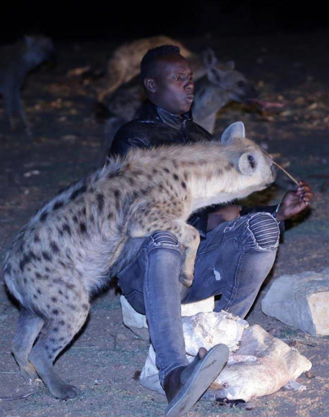 Geimini yllardr srtlan besleyerek kazanan Yusuf, AA muhabirine yapt aklamada, mesleini 40 yl boyunca srtlanlar besleyen babasndan devraldn belirtti.