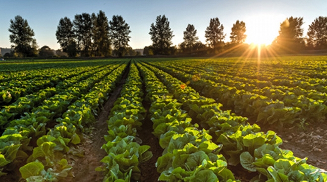 Hazineye ait tarm arazilerinin ecri misil demek suretiyle kullanan iftilerimize uygun koullarla kiralama imkan getiriyoruz.