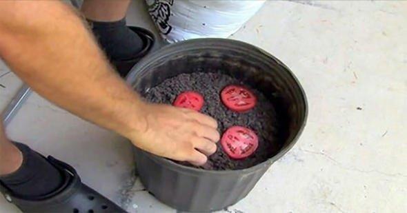 zlenmesi gereken yollar srasyla yle;