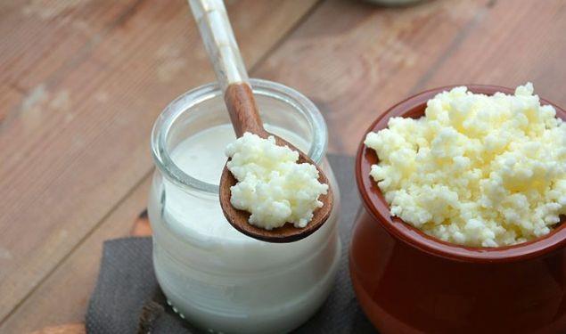 Kefir: Her gn 1 su barda kadar kefir tketerek barsak mikrofloranzn yararl bakterilerce zenginlemesini salayabilirsiniz. Yaplan birok alma probiyotiklerin kilo verme zerinde olumlu etkileri olduunu gstermektedir. Kefir de gl bir probiyotik kaynadr. Bu nedenle dzenli kefir tketimi kilo verme srelerini olumlu etkilemektedir. Sahur ncesinde tketeceiniz 1 su barda kefir ile metabolizmanz destekleyebilir kilo verme srecinizi ksaltabilirsiniz.