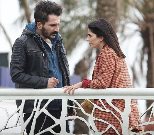 DZNN KONUSU; Bekir Baran Stk, Murat Emir Eren ve Rana Mamatlolu&#8217;nun kaleme ald dizi, Almanya&#8217;da ailesinin kat kurallarndan kap kayp bir kzn yerine geen Zehra imek&#8217;in etkileyici yksn konu alyordu.