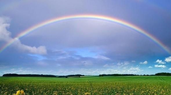 29-35 PUAN: Zihin yanz 40-49. Olgun ve tecrbelisiniz. Nasl yaamak gerektiini iyi biliyorsunuz.36-40 PUAN: Zihin yanz 50'nin zerinde. Bilge ve sakin birisiniz. Konforunuza nem veriyorsunuz.