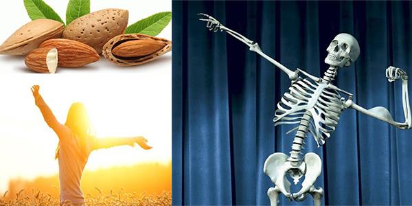 Her ne kadar sert ve dinamik bir doku olarak grnse de kemiklerimiz de ypranp zayflayabiliyor. zellikle ya ilerledike hzlanan kemik erimesi beklenmedik bir anda, en kk bir kazada kemik krklarna yol aabiliyor. Oysa kemik erimesine kar genken alnacak basit nlemlerle, ileri yalarda da salkl ve gl kemiklere sahip olmak mmkn.