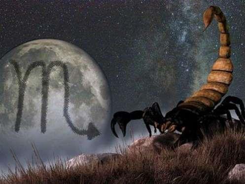 2-AKREP statistikler, ou seri katilin bu iaretten doduunu gstermitir. Dolaysyla akrepler etrafnda dikkatli olun nk ok ngrlemeyen olabilirler.