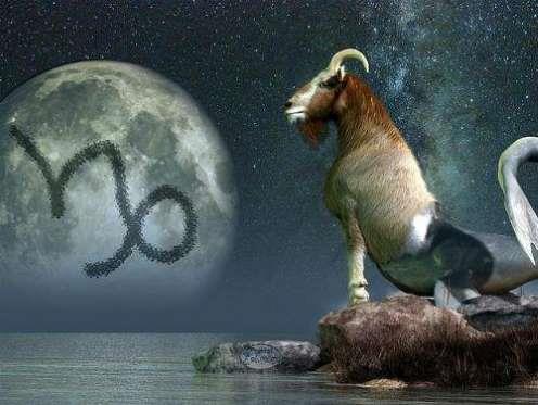 6-OLAK statistiksel olarak Olak burlar byk kitle katliamlarnn arkasndadr. Onlar provoke etmek ya da kzdrmak iyi bir fikir deildir, nk son derece tehlikelidir.