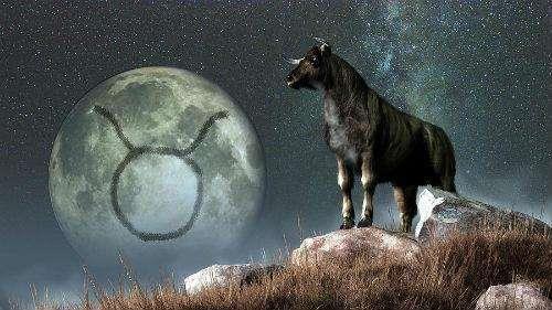 4-BOA Boalar katil deildirler. Fakat dolandrc olabilirler, nk lks ve paray seviyorlar. Bu onlar kt ve tehlikeli yollara gtrebilir. Elbette onlar kzdrdnzda, kendilerini nasl koruyacaklarn bilirler ve cehennem kadar agresif olabilirler.