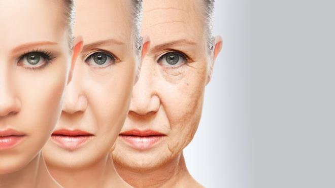 1- Kala lmnz (cm) bel lmnzle (cm) bln. 0,816&#8217;dan kkse, gerek yanza 4 sene ekleyin.