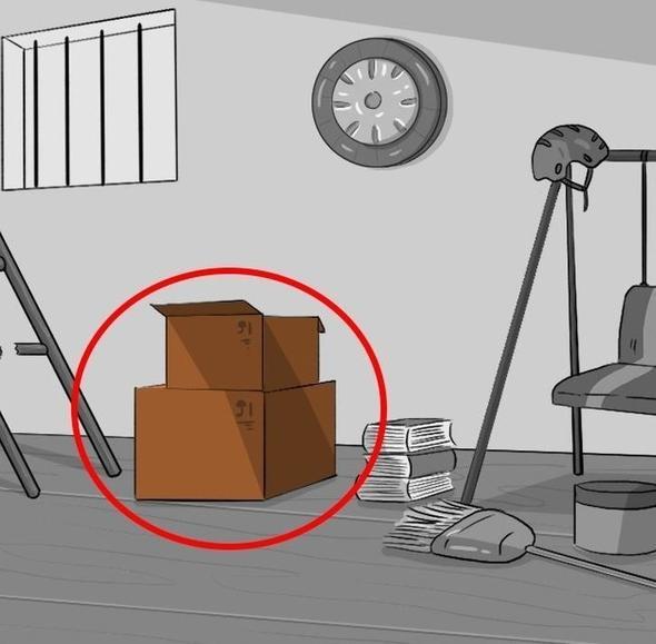 Koliler. Dier insanlardan sakladklarn koyduun yeri temsil eder. nsanlardan bir eyler gizlemek konusunda iyisindir.