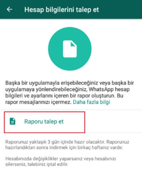 Raporu Talep Et'e girin.