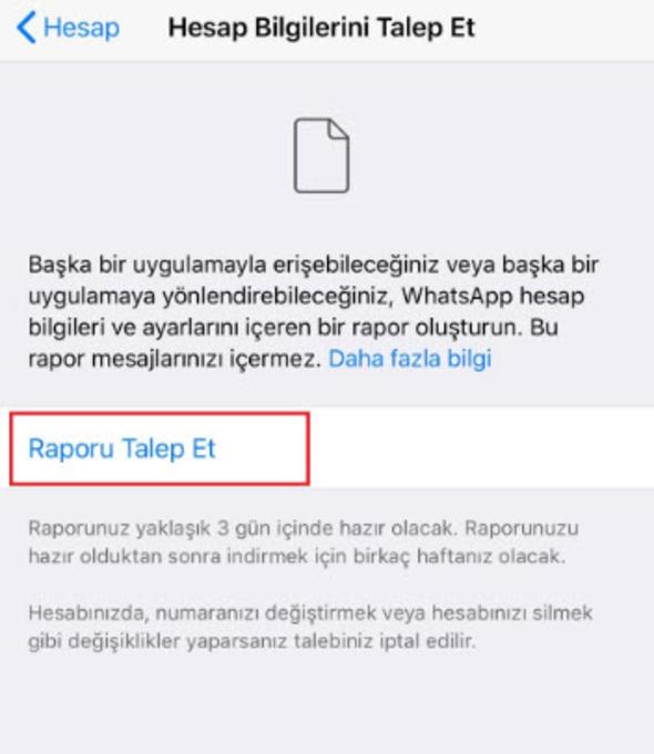 Daha sonra Rapor Talep Et seeneine girin.