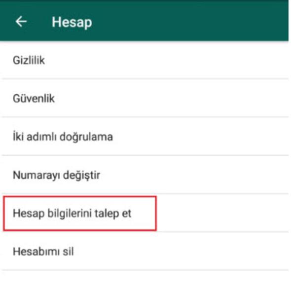 Ardndan Hesap Bilgilerini Talep Et seeneine dokunun.