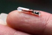 11. sve'te binlerce insan mikro ip taktryor.  <br>sve'te hali hazrda binlerce insan pirin byklnde iinde kimlik bilgilerini barndrdklar mikro ipleri vcutlarna taktrm durumdalar. Bu uygulama her geen gn daha fazla insan tarafndan kullanma geiyor.