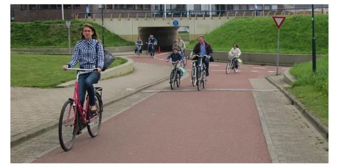 4. Hollanda Houten'de ncelik yayalar ve bisikletlilerin. 1960'larda tasarlanarak, yaama alan Hollanda'nn Houten kentinde; bisikletliler ve yayalar trafikte ncelie sahipler. Bu anlamda ehirde motorlu aralar iin hz snr saatte 30 km olarak belirlenmi. ehrin byk bir ksmnda yollar sadece bisikletlere ak. Motorlu aralarn sadece ticari faaliyetlerde kullanlmas tevik ediliyor.