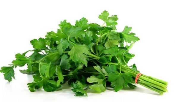 Maydanoz  <p>    Kzartma kokusu iin bir dier seenek de maydanoz. Kzartma yann iine koyacanz bir para maydanoz kzartma kokusunun daha az olmasn salar.