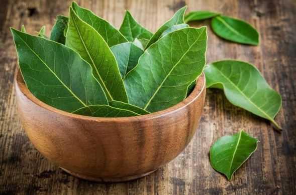 Defne yapra    <p>  Bir cezvede kaynatacanz defne yaprann kokusu da kzartma kokusunu gidermede ok etkili olacaktr.