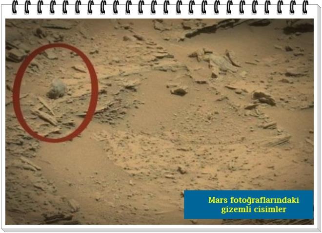 Mars yzeyinde; gzlere, bir buruna, st eneye ve iyi korunmu bir kafa tasna sahipmi gibi duran tuhaf biimli bir kaya dikkat ekiyor.