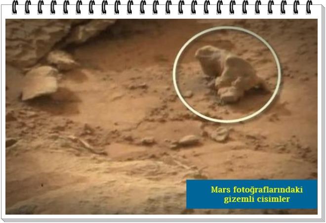Curiosity'nin ektii fotoraflardan birine yakndan bakldnda daha ok tropikal iklimde yaamn srdren iguana benzeri bir cisim dikkat ekiyor.