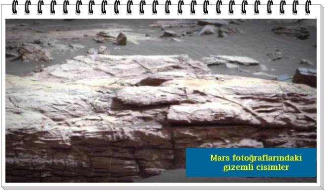 Waring grntleri 'basit ve mkemmel' olarak tanmlad. Ancak videoyu izleyenler, grntlerin bir tula duvara ait olduuna ikna olmu deil.Grntlere yorum yapan bir kullanc, duvar iddiasn 'aptalca' olarak tanmlad. Bir baka kullanc ise grntlerin 'sahte' olduunu iddia etti.