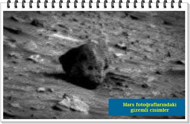 Hep varl tartlagelen bir uzayl kafa iskeleti sanki...