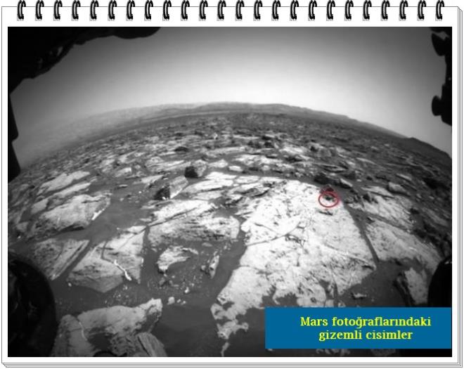 Arizona State University'de grevli olan aratrmaclarn tanmlad meteor, bir uzayl yapsn andran ekline ramen sadece demirin ve nikelin karmyla olumu, ilgi ekici bir meteor.