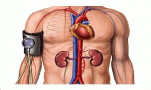 Salkl bir geliim ve uzun bir yaam iin bilinli su tketimi yapmanz gerekir. Bu sayede organlarnzn alma mekanizmas daha salkl boyutlarda yol alrken,dnce sisteminizde de daha geni ve kapsaml olacan unutmayn. Beyne geen oksijen iyi bir dnce sisteminin olumasna olanak sunar. Peki suyun az alnmasnda meydana gelebilecek riskler ve hastalklar nelerdir ? birde sizleri bu konuda bilgilendirelim.