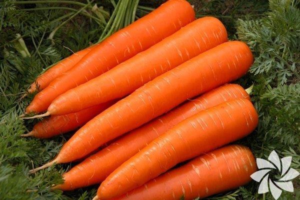 Havu ve yumurta    <br>ki tane havucu 2 litre suyun iinde kaynatn  ve yumurta sarsn ilave edin. Bu karm sanzda beklettikten sonra durulayn. Hafta bir bu doal maskeyi uygulayarak salarnz uzatabilirsiniz.