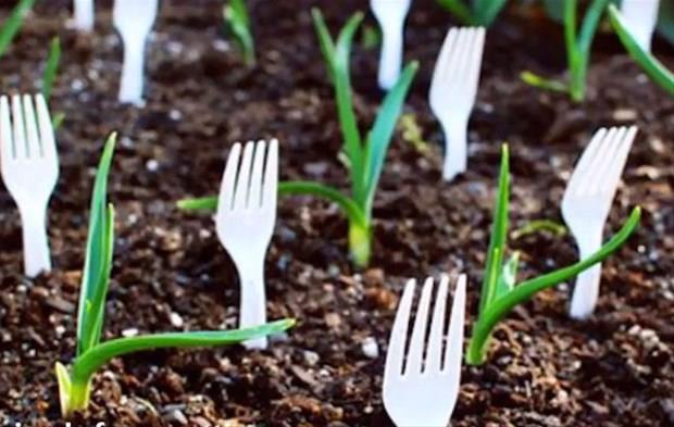 Bunun iin zm ise topraa atal batrmak! atal, ektiiniz bitkileri hayvanlardan koruyacak. Siz de gnl rahatlyla bahecilik ilerinizi yapabileceksiniz.