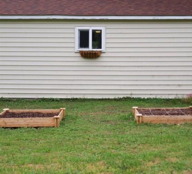 Bitkilerinizi Yumurta ile Glendirin!  <br>  Salam yumurtadan yava yava ihtiyac olan minerali alan bitkiler, daha iyi byyp geliirler. Siz de bitkilerinizi yumurta ile glendirebilirsiniz.