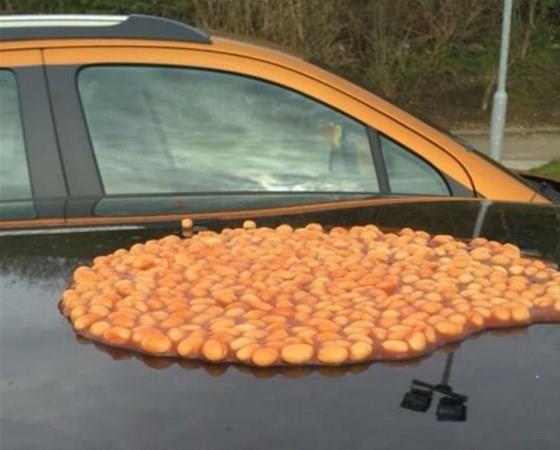 Arabasnn stne fasulye dken komunun cezas ar oldu.