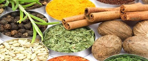 YANLI: Hastalklarda ila yerine bitkisel rnler kullanarak bbreklerimizi ilalarn zararl etkilerinden koruyabiliriz<br>    DORU: Alternatif tedaviler olarak halk arasnda yaygn kullanlan bitkisel rnler, ieriklerinin tam olarak bilinmemesi ve ilalarla etkileime girmeleri nedeniyle bbreklerde bir tr alerjik reaksiyon yoluyla nefrit olarak adlandrlan hastalklara yol aabiliyor.