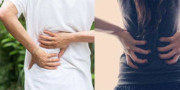 Vcutta nemli faaliyetleri olan organlarmzdan biridir. ok sus imenin bbreimizin salkl olduunu sanmak gibi aslnda doru bildiimiz ancak yanl olan birok bilgi var. Uzmanlar bu hatalarn tedavi bbrek rahatszln daha kt bir duruma soktuunu belirtiyor.