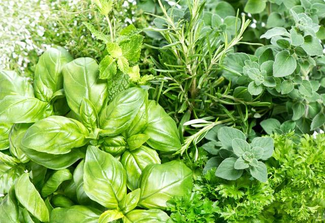 Yabani otlar ldrr  <br>  Turu suyu, yabani otlar ldrmekte bir numaradr. stenmeyen otlarn zerine turu suyu dkn. Bir sre sonra kaybolduklarn ve bir daha kmayacaklarn grrsnz.