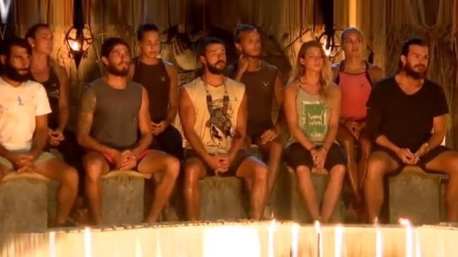 1. Survivor / TV8