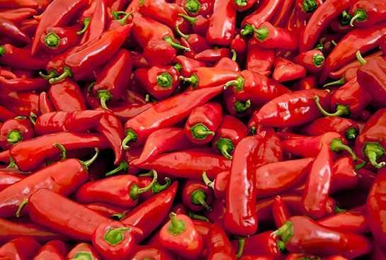 KIRMIZI BBER    Kanser hcreleri ile savar ve metabolizmay hzlandrr. Grip ve souk algnlna da iyi gelir.