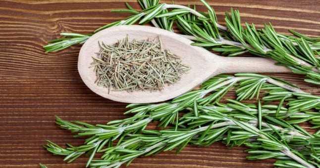 BBERYE    Biberiye antimikrobiyal zellii sahiptir ve kalp saln korur.