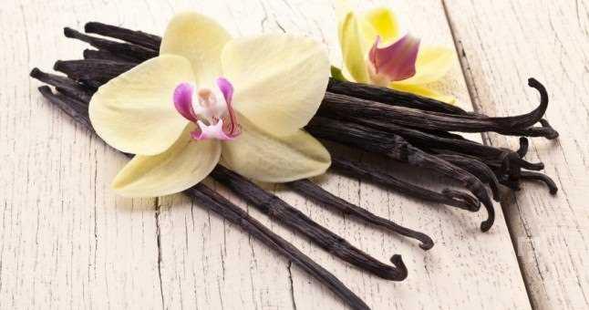 VANLYA    Vanilyann ruhu dinlendiren ve sinir bozukluunu gideren bir etkisi bulunur. Vanilya ayn zamanda mide ve sinir sistemi zerinde uyarc bir etkide bulunur.