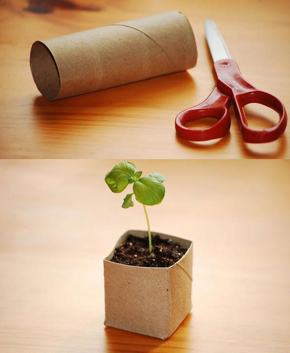 Tuvalet kadnn karton rulosu da makasla uygun krplmalar yapldnda minik fidanlarnza saks olabiliyor!