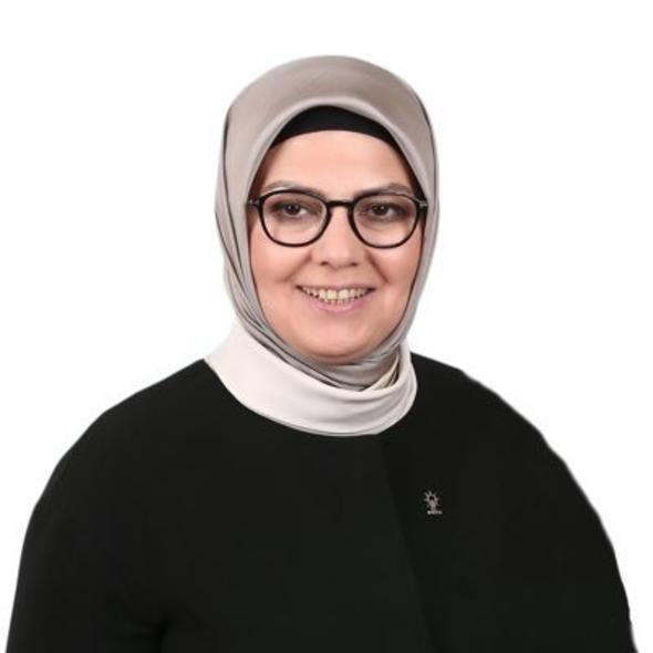 Aye Bhrler - AK Parti