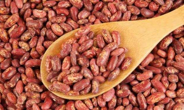 <p><b>Barbunya -</b>&#8203;6.4 gr / 100 gr</p>      <p><b>Nohut -</b>7.6 gr / 100 gr</p>      <p><b>Keten tohumu -</b>27 gr / 100 gr</p>      <p><b>Yulaf -</b>10.6 gr / 100 gr</p>