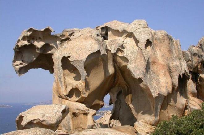 ou zaman fark edilmeyen ya da gzlerden kaan doadaki 'gizli siletler'i grdnzde gerekten ok aracaksnz. te birbirinden ilgin siletler...