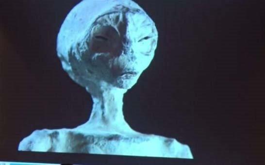 Cesedin uluslararas karaborsada 1 milyon sterlin fiyat etiketi olduu ifade edildi.