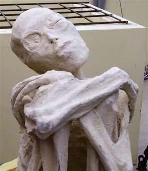 Yaplan incelemelerde mumyann bir kadn olduu anlalrken bilinmeyen bir tre ait olduu dnlyor.