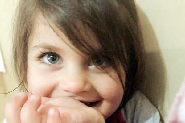 Vali Elban bir soru zerine de, "Baz ipular ve gzalt var. almalar titizlikle devam ediyor. Jandarma ve emniyet gleri youn eliklde alyor. Gzalt saysn veremem ama bu bir karlma olay" eklinde konutu.