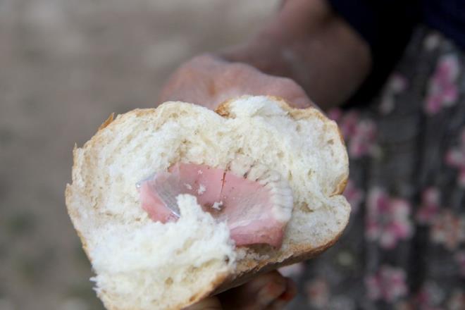 Edinilen bilgilere gre, Seydikemer ilesine bal Yayla Karaulha Mahallesi'nde, iftilik ile uraan Glmser Tngl (60) sabah kahvaltsn hazrlayp, evinin yanndaki ahra giderek koyunlar ilgilenmeye balad.